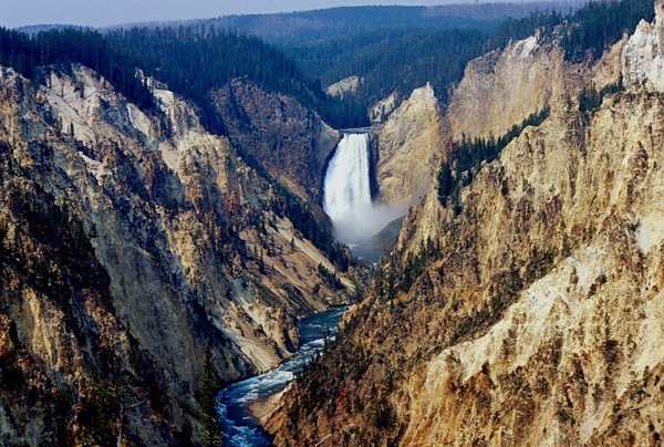 20000801   Yellowstone 116